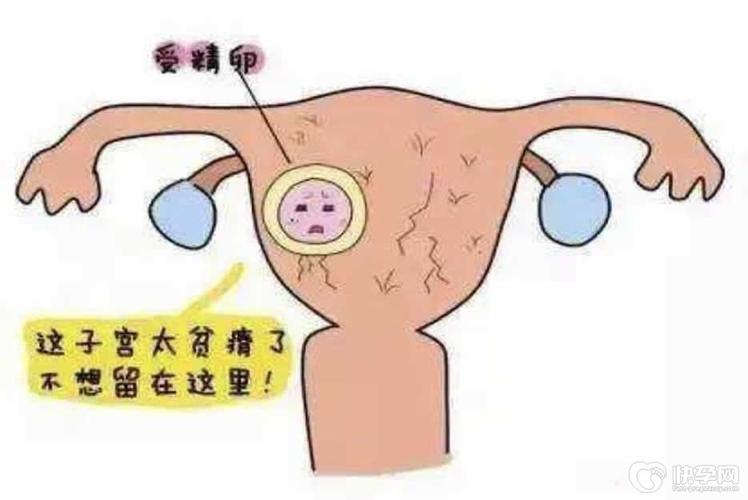 正规供卵机构_正规供卵机构:为您解答供卵相关疑问