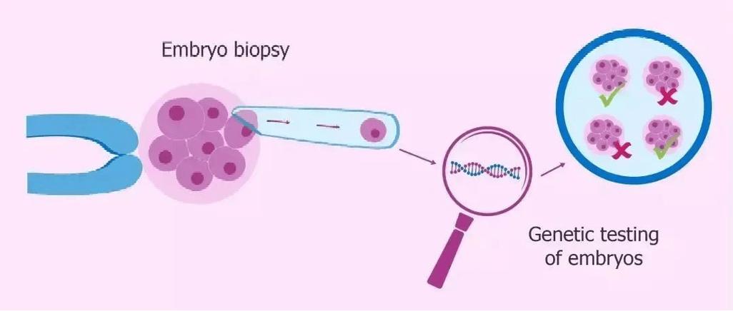 在国内试管代怀合法吗-国内试管代怀合法吗？一探国内试管代怀孕法律政策