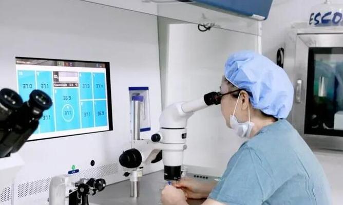 正规医院里面可以试管代怀吗【正规医院内可以进行试管代怀吗?】