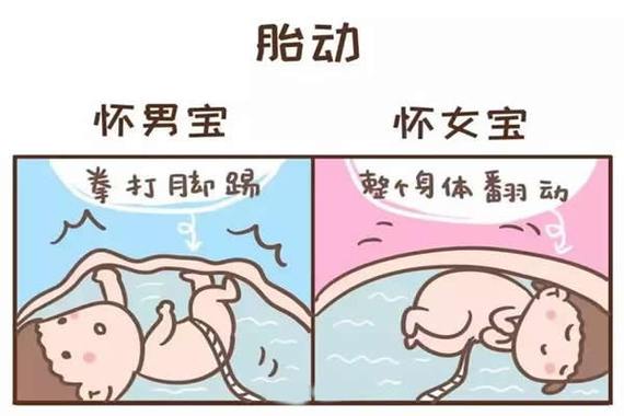 代怀一个男孩多少费用-代怀一个男孩多少费用？