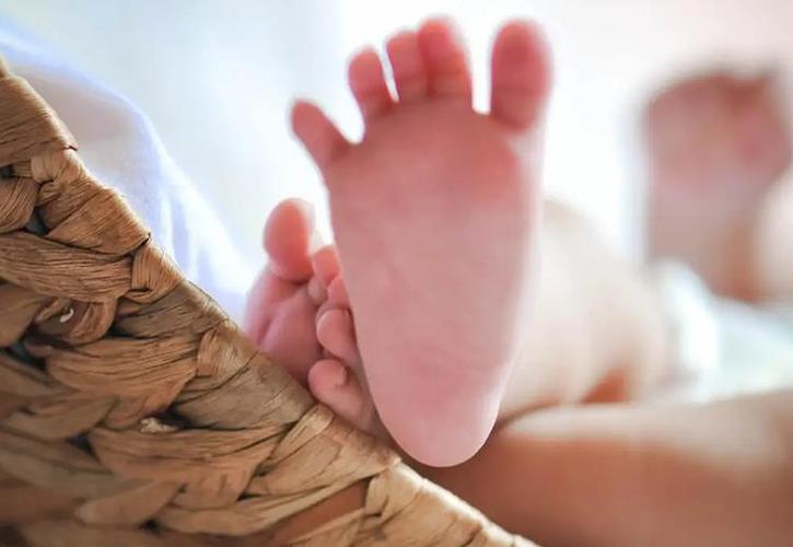 代怀生子什么意思(代怀生子:探寻其含义)