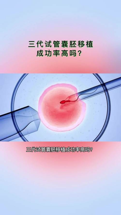 国内试管代怀哪里成功率高啊-国内试管代怀哪里成功率高？