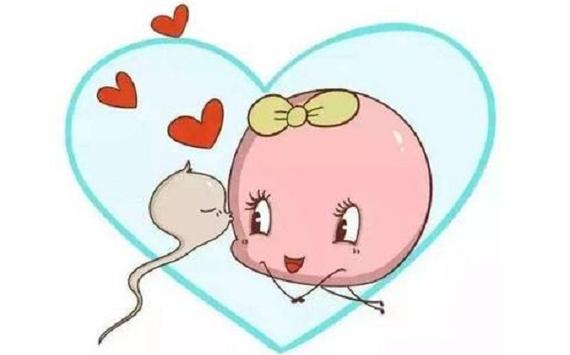 国内靠谱的供卵机构(国内靠谱的供卵机构:安心选择,健康承诺)