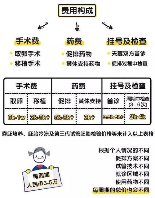 国内试管代怀需要多少费用【国内试管代怀需要多少费用？】