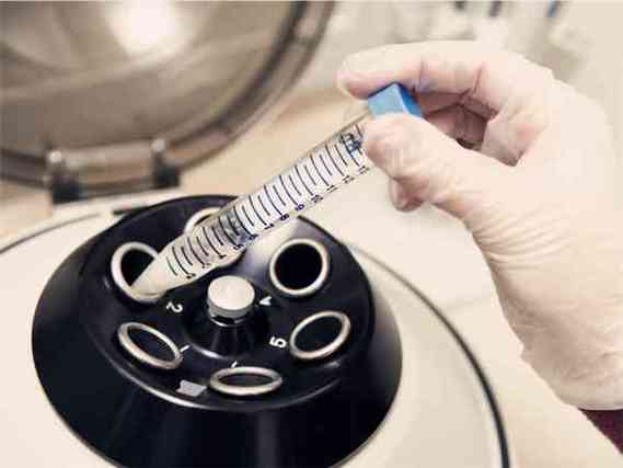 医院借卵试管代怀正规机构(医院借卵试管代怀正规机构服务指南)