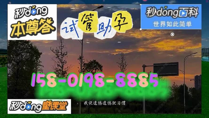 正规的试管代怀网站-专业正规试管代怀网站服务平台