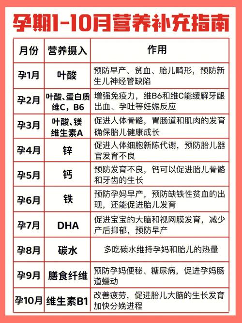 中国正规规孕机构借卵生子_中国正规规孕机构：借卵生子全指南