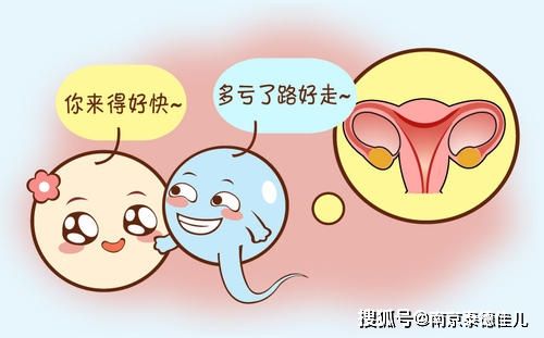 国内供卵中心(国内供卵中心：解密供卵手术的全过程)