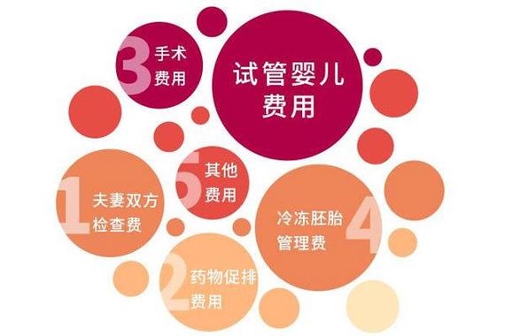 国内哪家医院可以试管代怀-国内哪家医院可进行试管代怀?