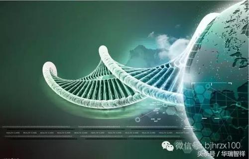 代生出的孩子像谁【代生出的孩子像谁：寻找生物学家的基因融合之谜】