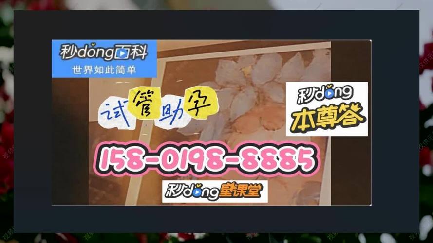试管代怀正规公司哪里有-试管代怀正规公司哪里有:以爱为中心