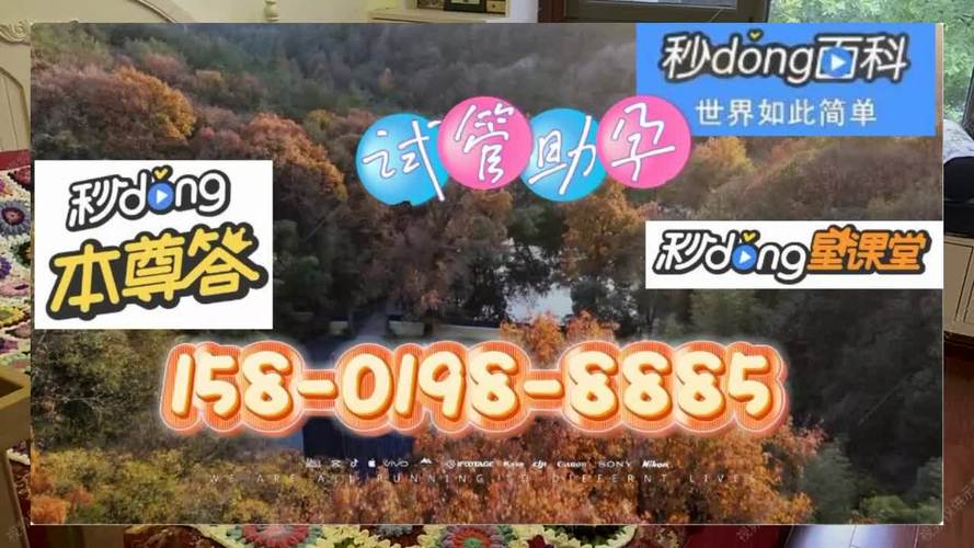 代生代怀公司-代生代怀公司：传承与创新