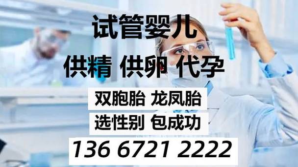 正规借卵试管代怀机构(正规借卵试管代怀机构：助您实现生育梦想)