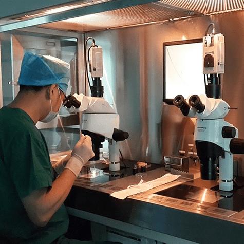正规试管代怀中心【正规试管代怀中心:专业辅助生殖服务】