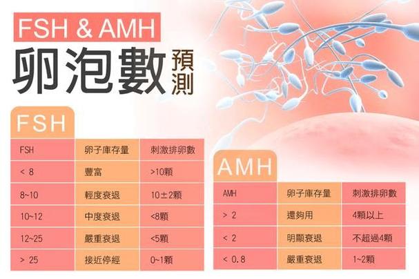 国内试管供卵的条件【国内试管供卵条件解析】