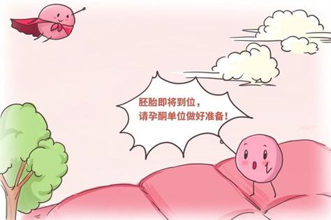 正规供卵公司_正规供卵公司：新生命的选择和机会